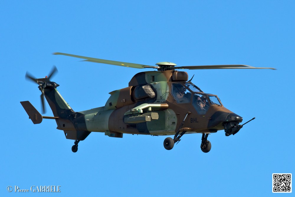 tigre_7464.jpg