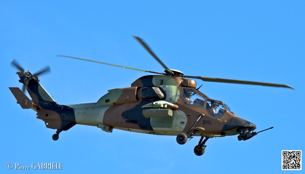 tigre_7465.jpg