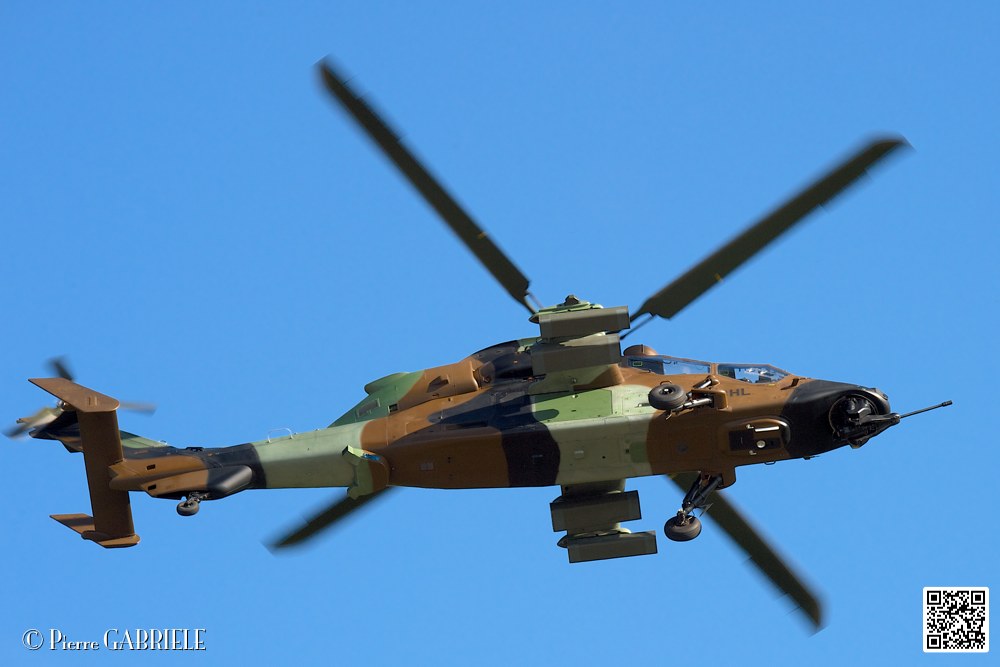 tigre_7475.jpg