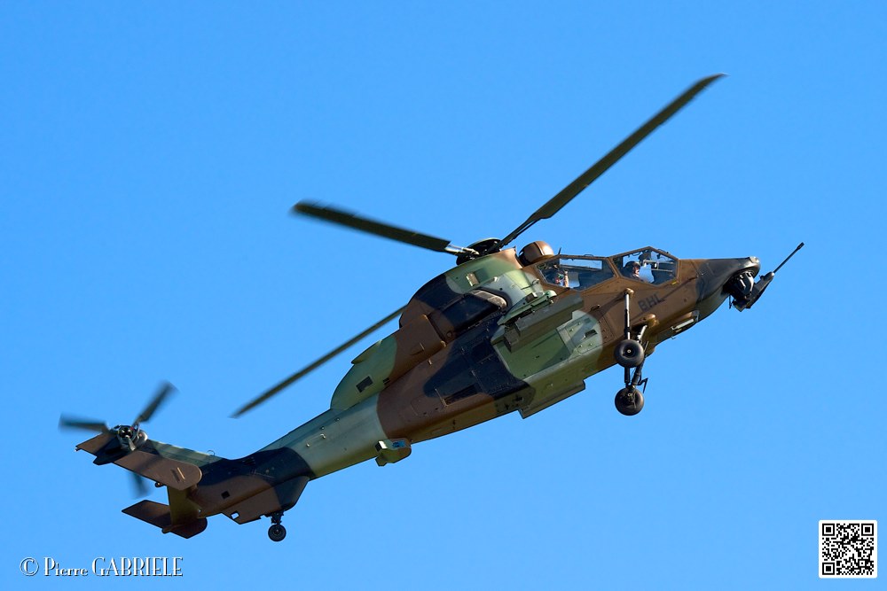 tigre_7476.jpg
