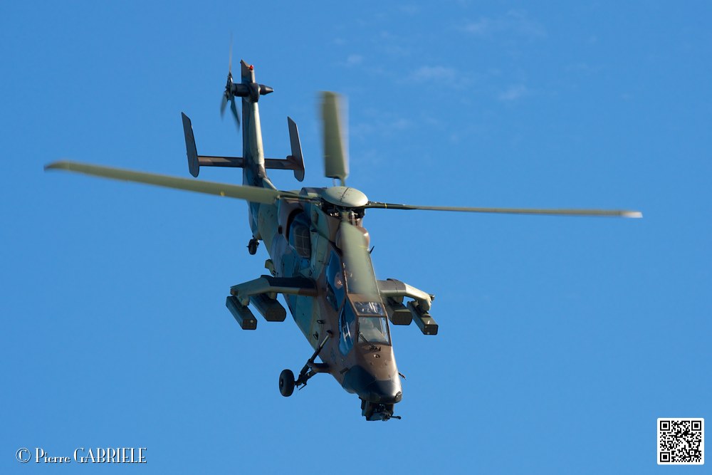 tigre_7478.jpg