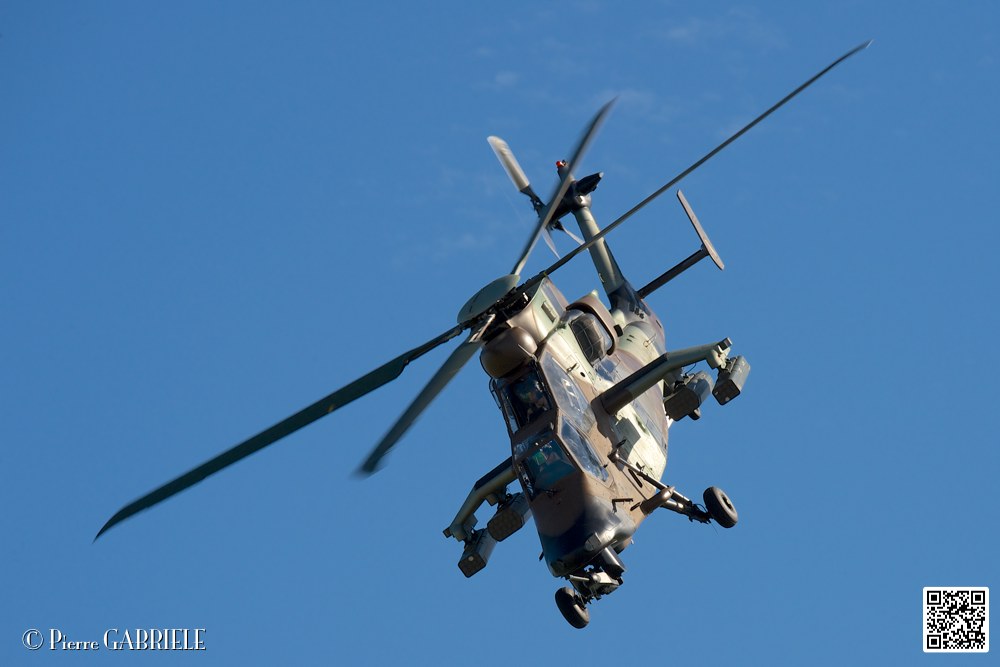 tigre_7480.jpg