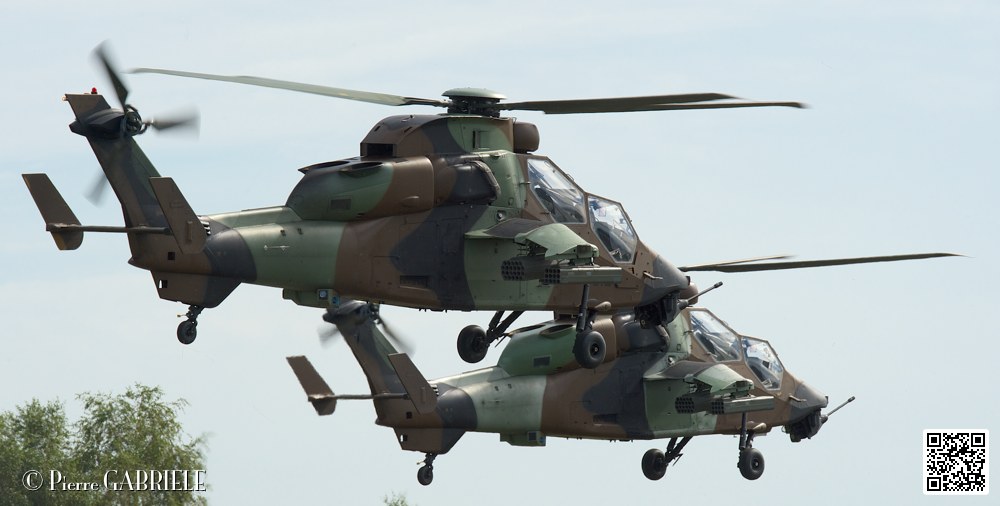tigre_7527.jpg