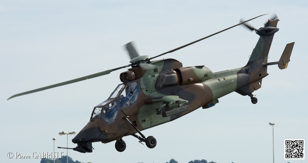 tigre_7529.jpg
