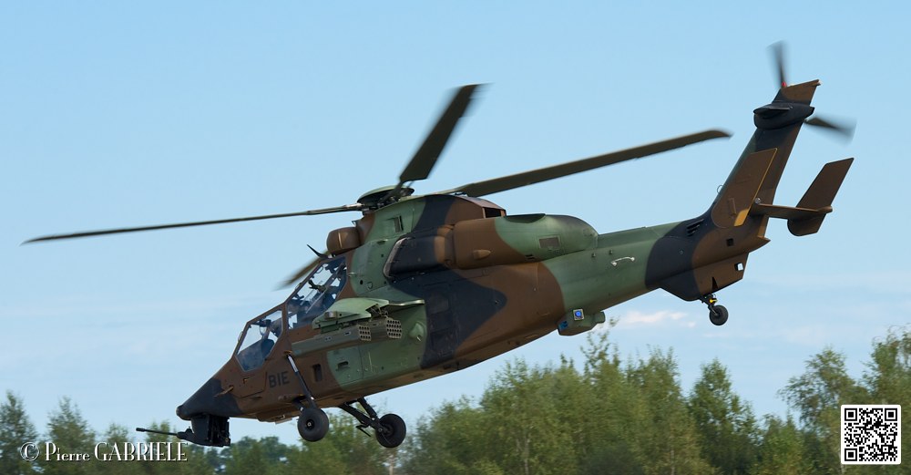 tigre_7530.jpg