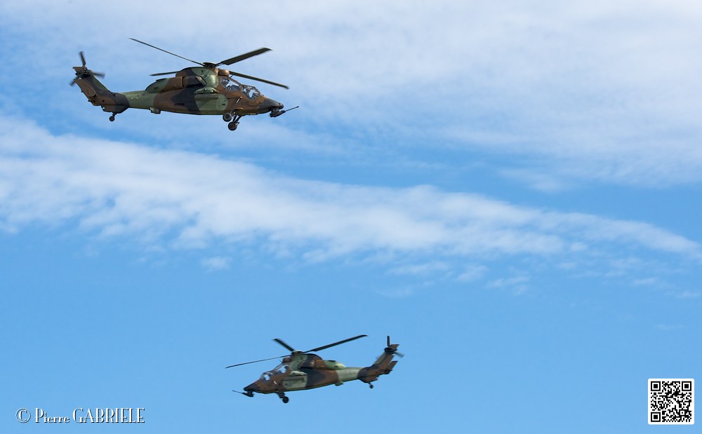 tigre_7531.jpg