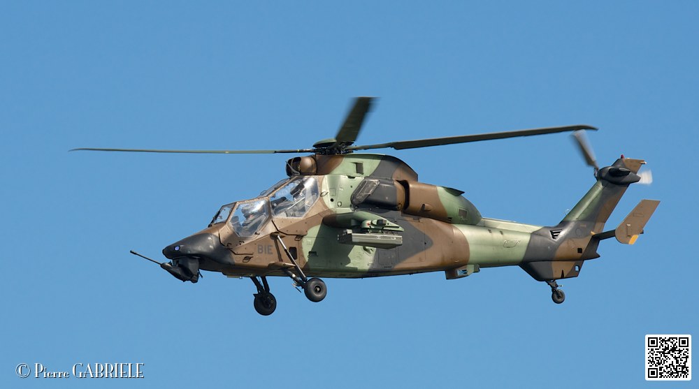 tigre_7532.jpg