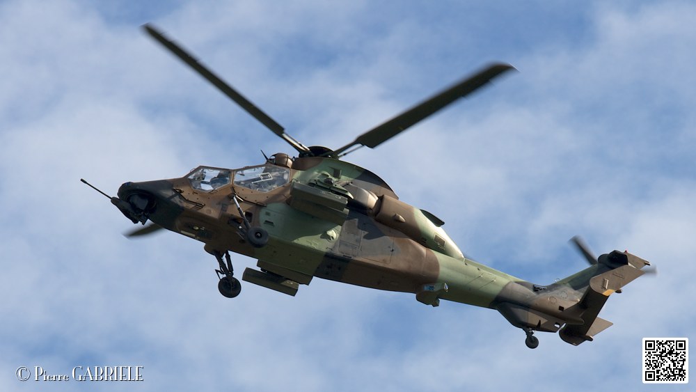 tigre_7534.jpg