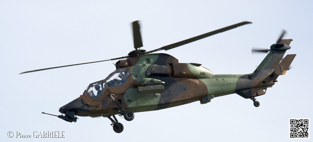 tigre_7536.jpg