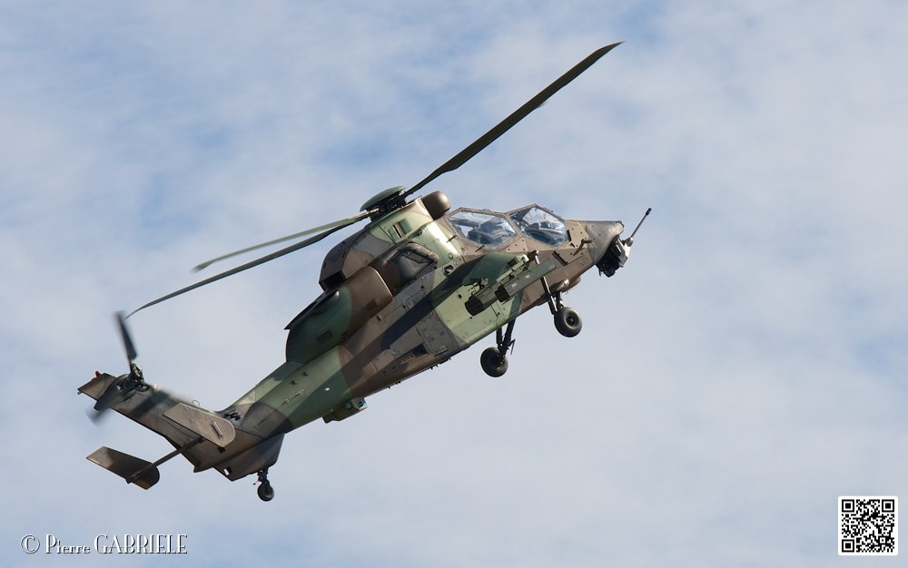 tigre_7538.jpg
