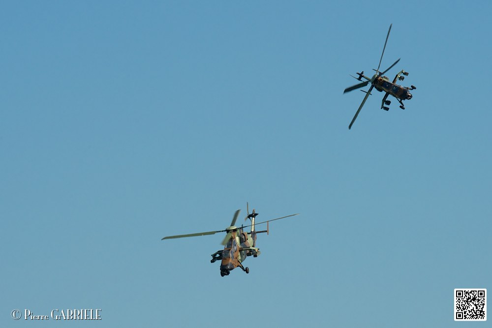 tigre_7542.jpg