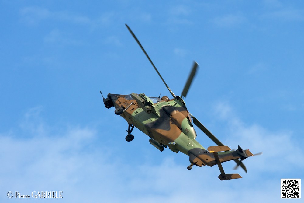 tigre_7544.jpg