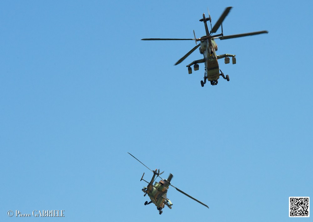 tigre_7549.jpg