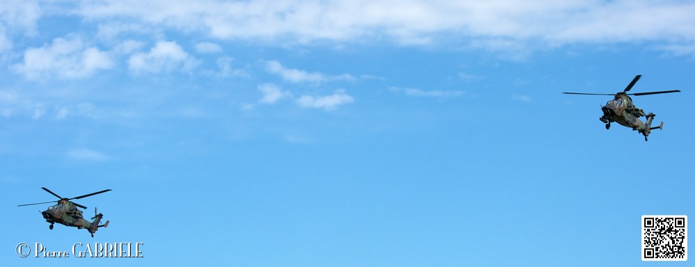 tigre_7557.jpg