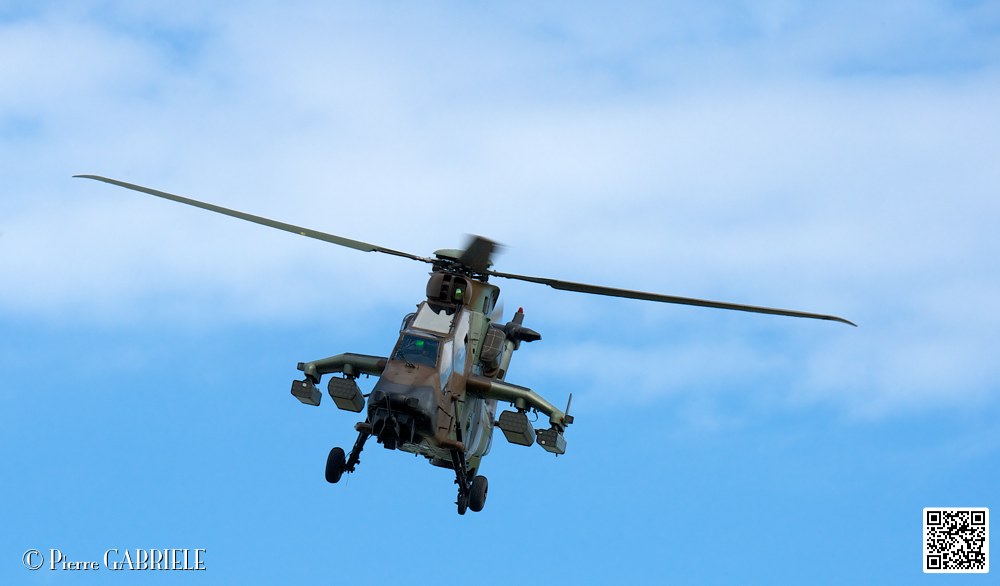 tigre_7558.jpg