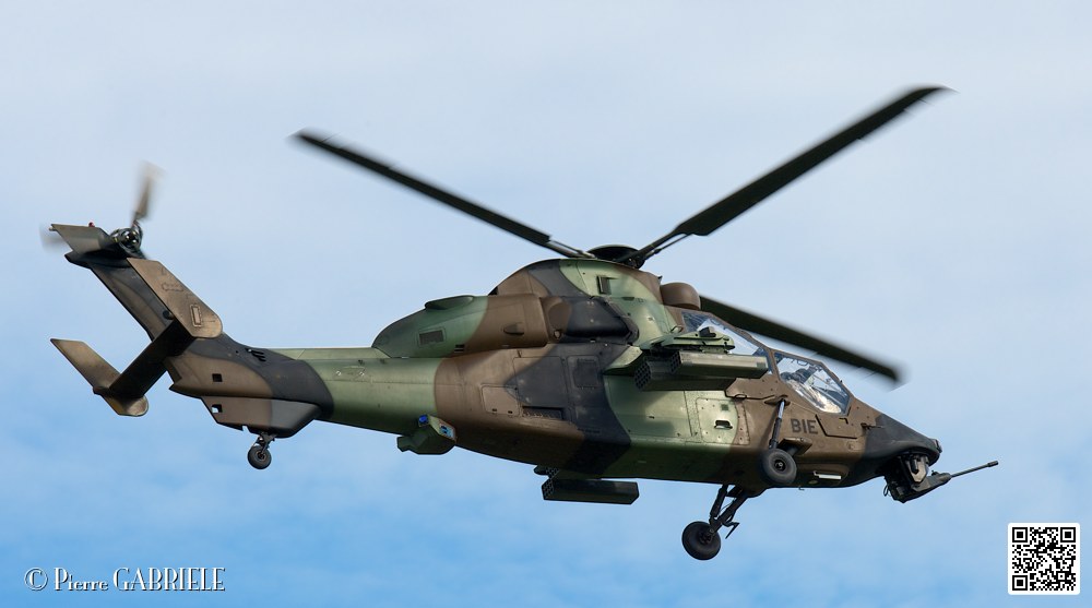 tigre_7560.jpg