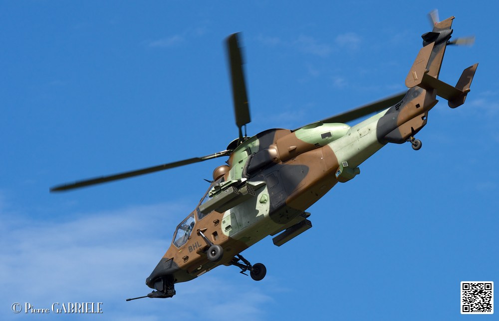 tigre_7653.jpg