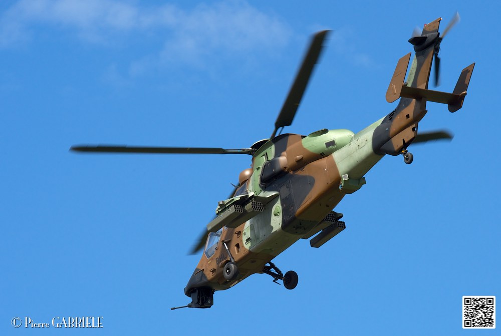 tigre_7654.jpg