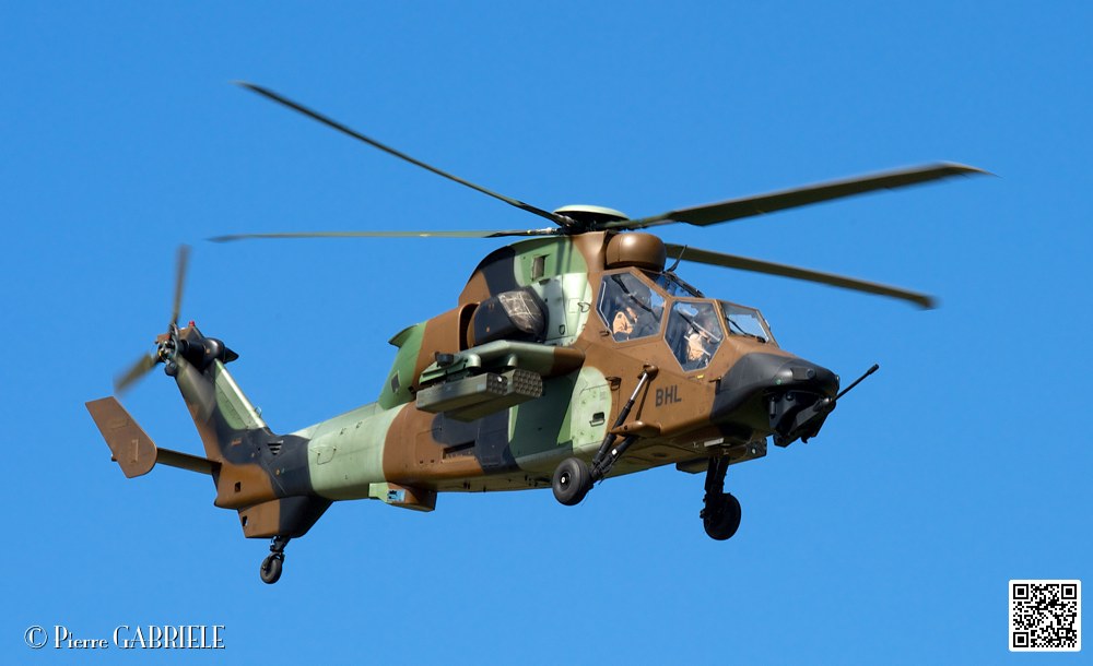 tigre_7655.jpg