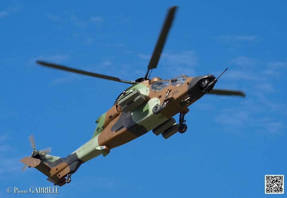 tigre_7656.jpg