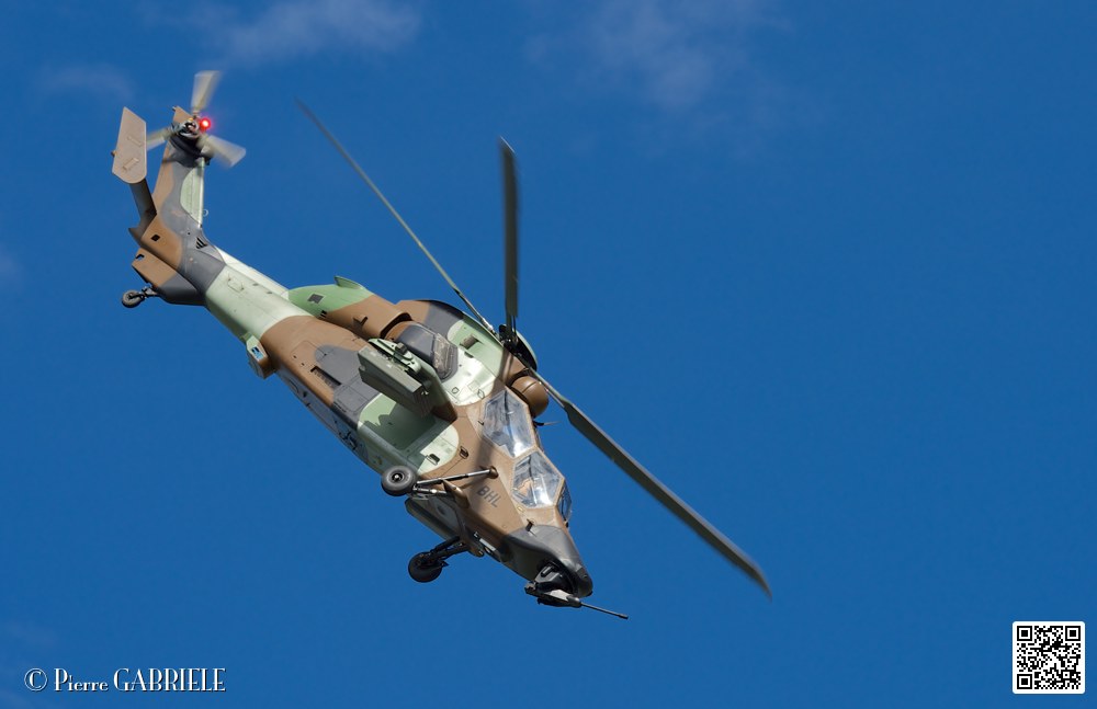 tigre_7661.jpg