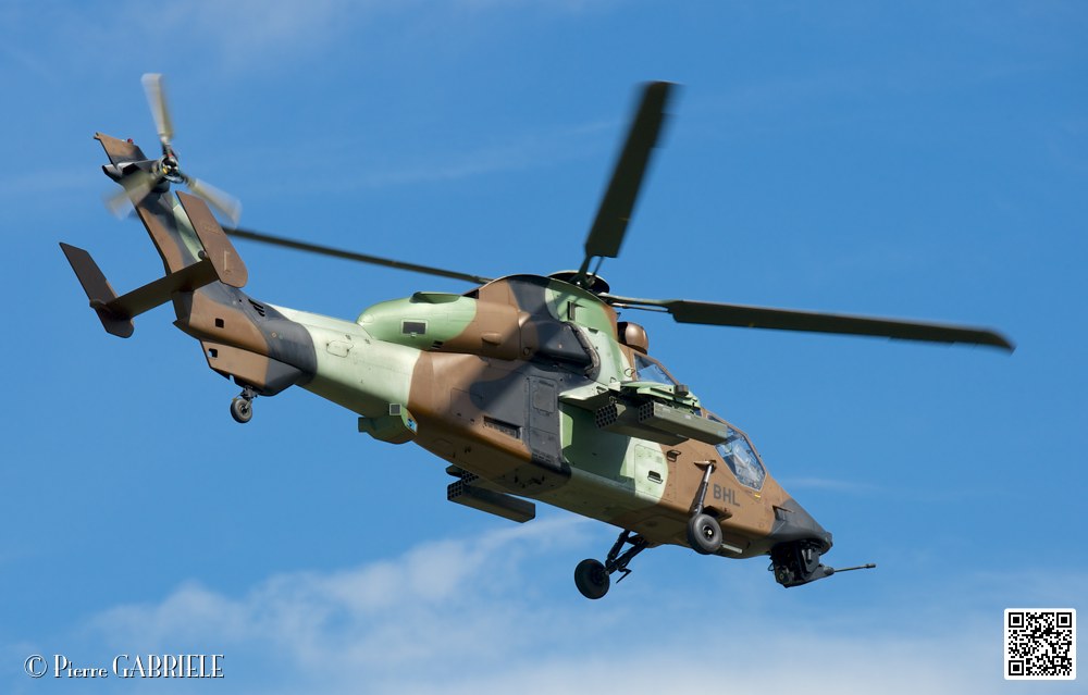 tigre_7663.jpg