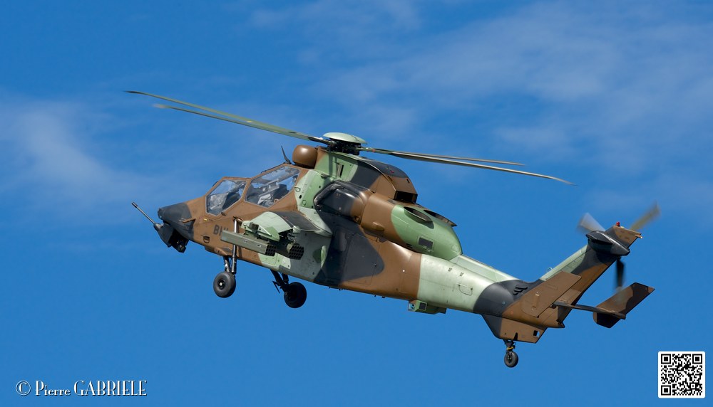 tigre_7666.jpg