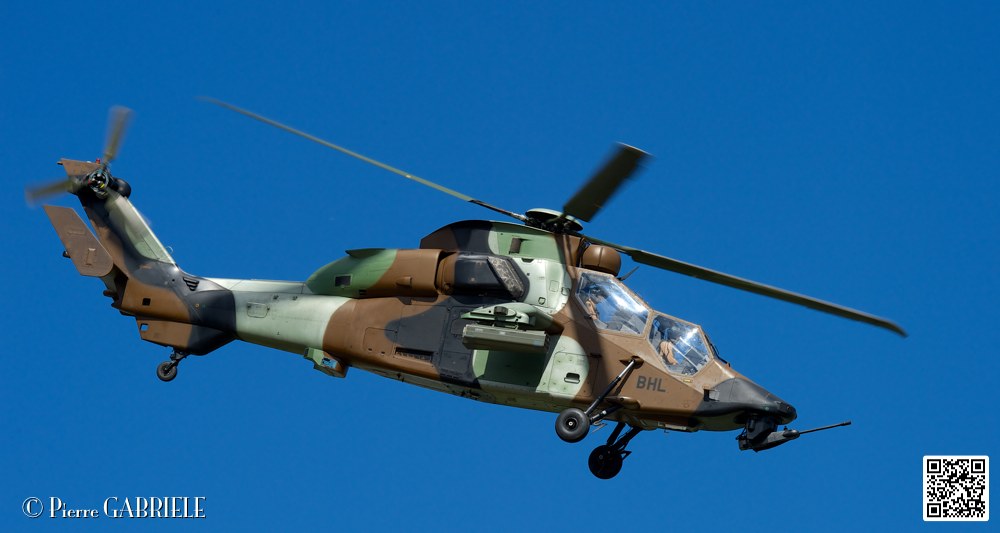 tigre_7670.jpg