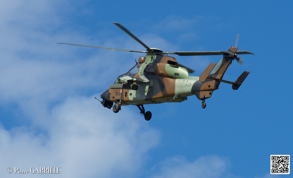 tigre_7671.jpg