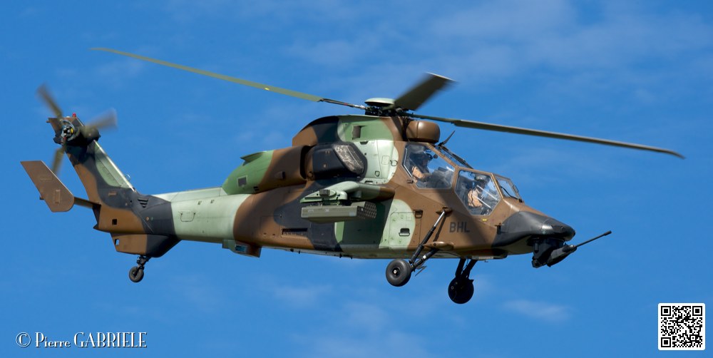 tigre_7675.jpg