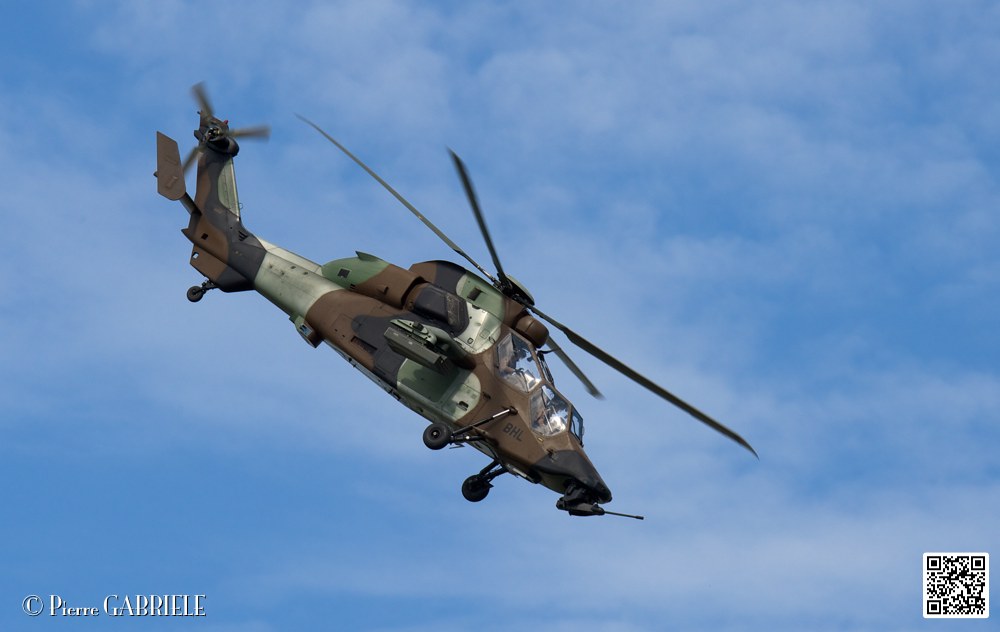 tigre_7683.jpg