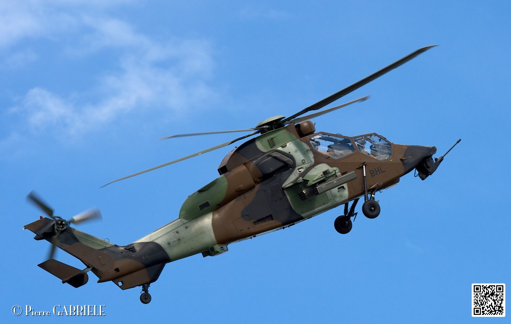 tigre_7686.jpg