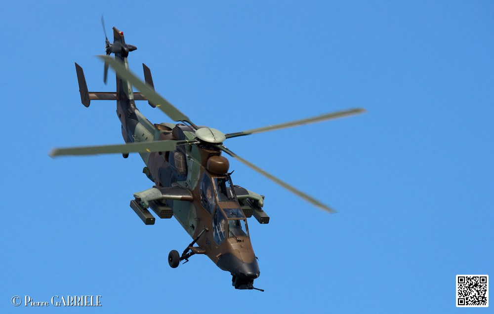 tigre_7687.jpg