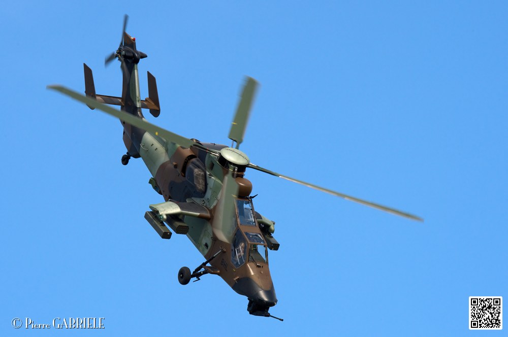 tigre_7688.jpg