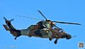 tigre_7465