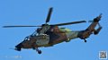 tigre_7471