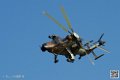 tigre_7472