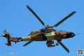 tigre_7475