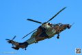 tigre_7476