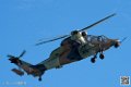 tigre_7477