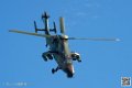 tigre_7478