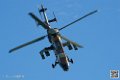 tigre_7479