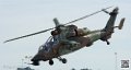 tigre_7529