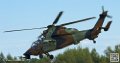 tigre_7530
