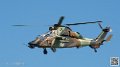 tigre_7532