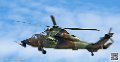 tigre_7533