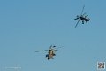 tigre_7542
