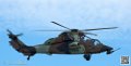 tigre_7559
