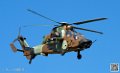 tigre_7655