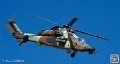 tigre_7670